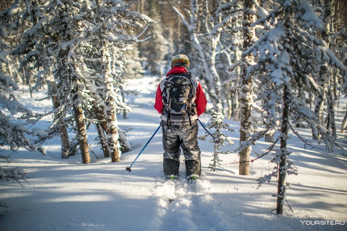 Фрирайд лыжи в лесу