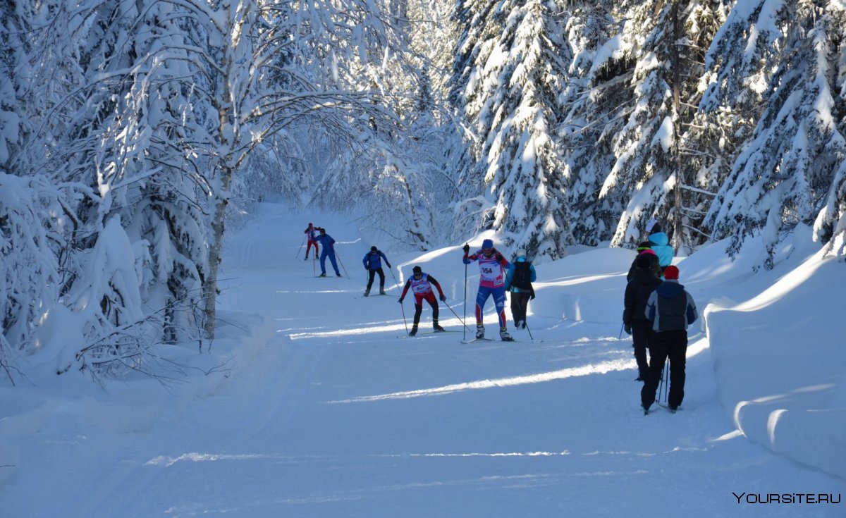 Лыжные трассы для беговых лыж в Хабаровске
