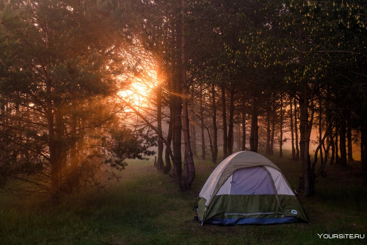 Лесная палатка