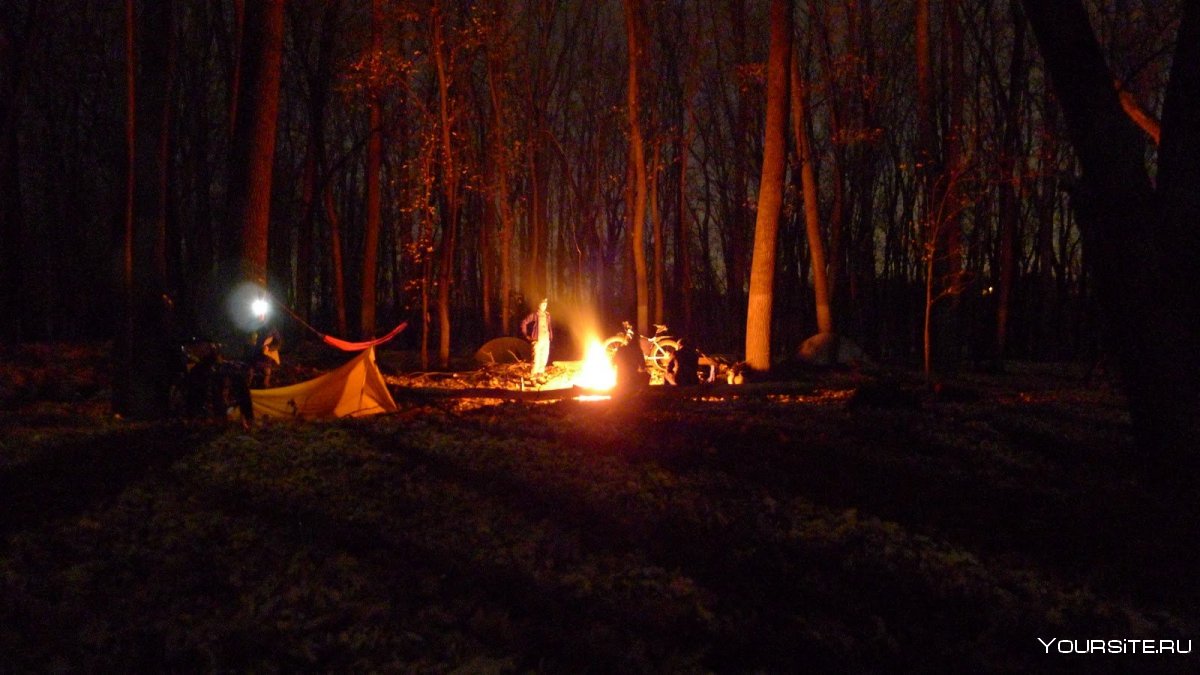 Палаточный лагерь в ночном лесу с костром
