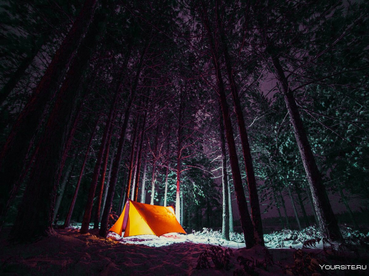 Палатка в лесу ночью