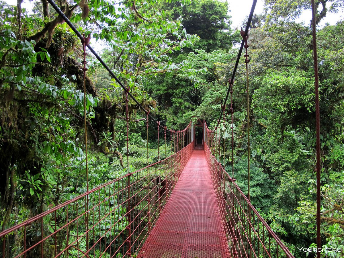 Монтеверде Коста Рика