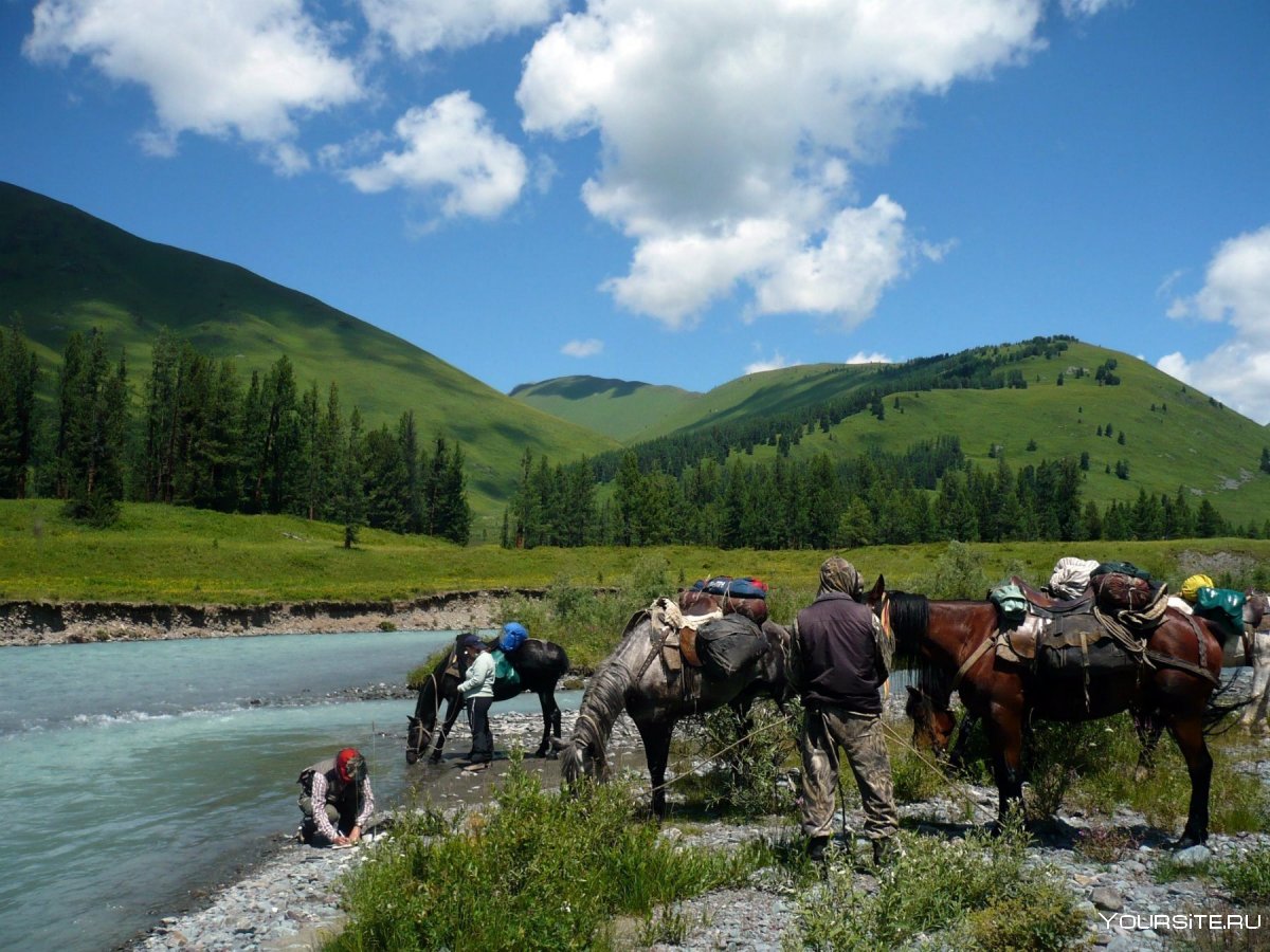 Алтайский край горный туризм