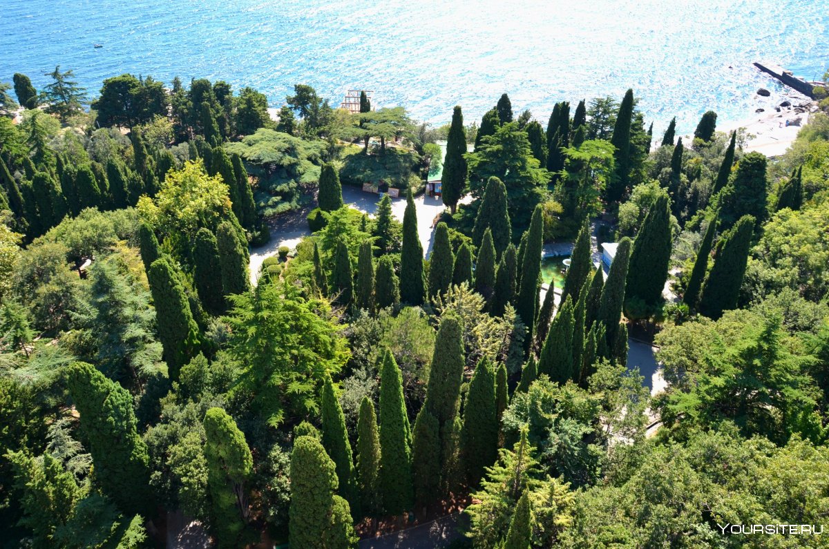 Мисхорский парк санаторий