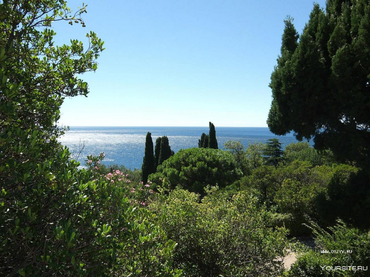 Нижний Мисхор Крым