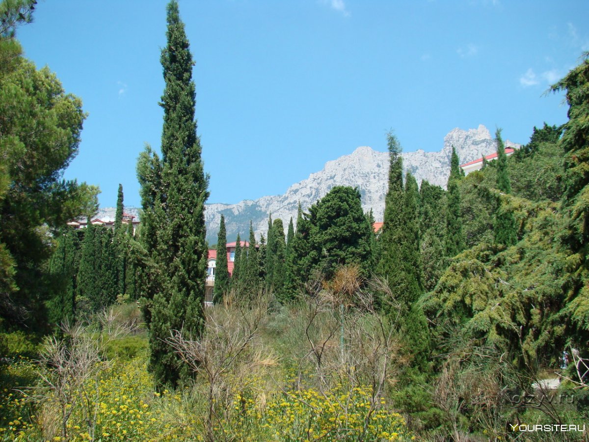 Санаторий Мисхор Кореиз