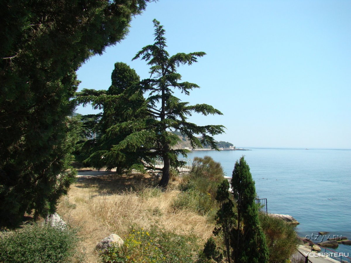 Кореиз Крым Мисхор санаторий