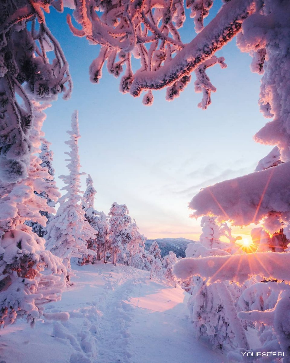 Волшебный зимний пейзаж
