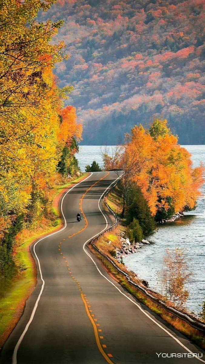 Осенняя дорога обочина