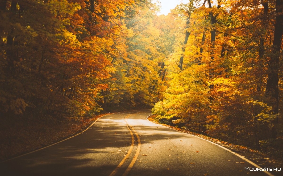 Осенняя дорога (2021)