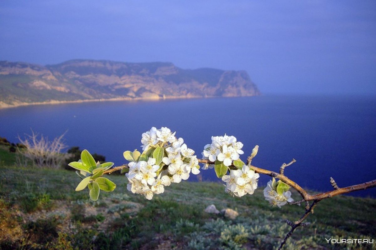 Крым весной