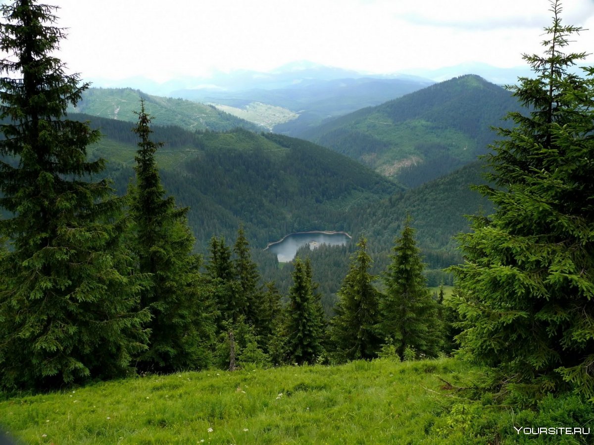 Село Карпаты Украина