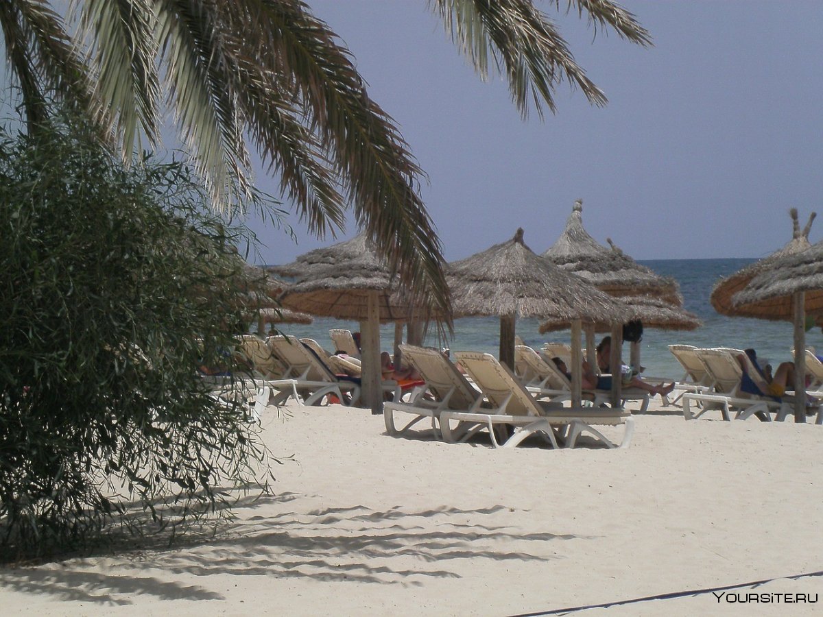 Остров Джерба Тунис рыжий отель
