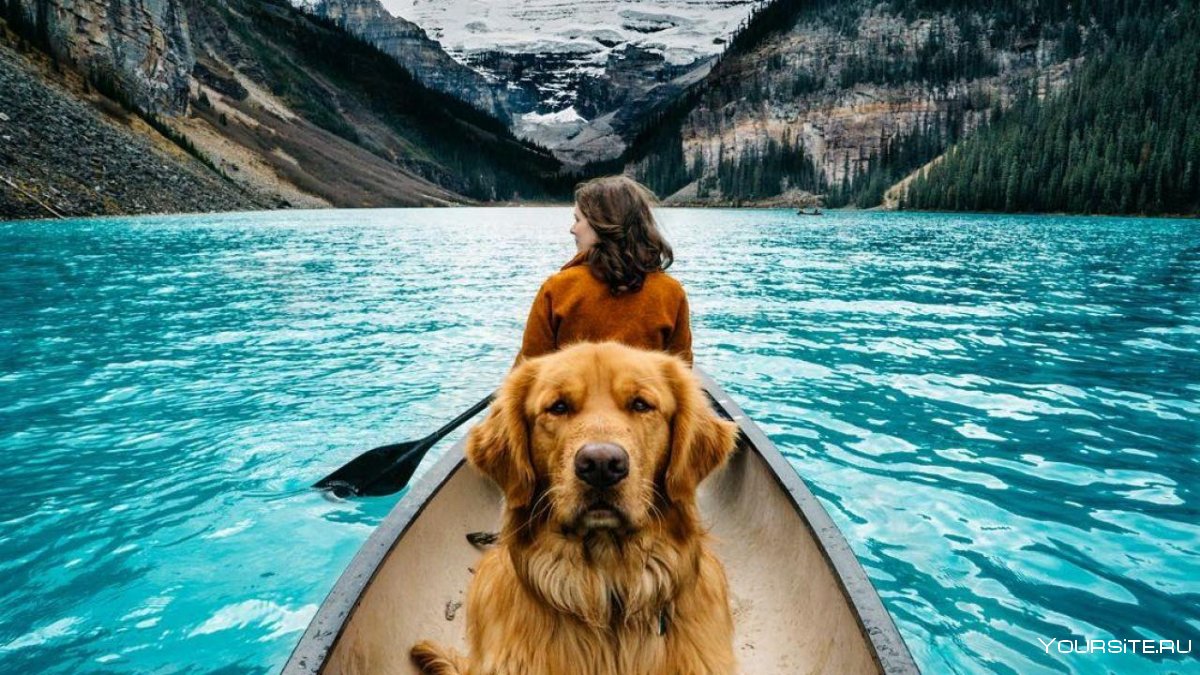 Путешествие с собакой в горах