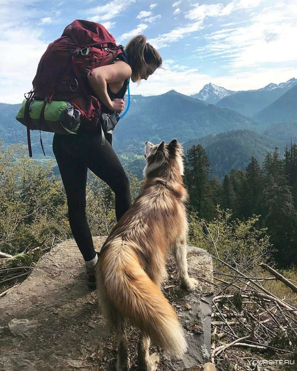 Девушка с собакой в горах