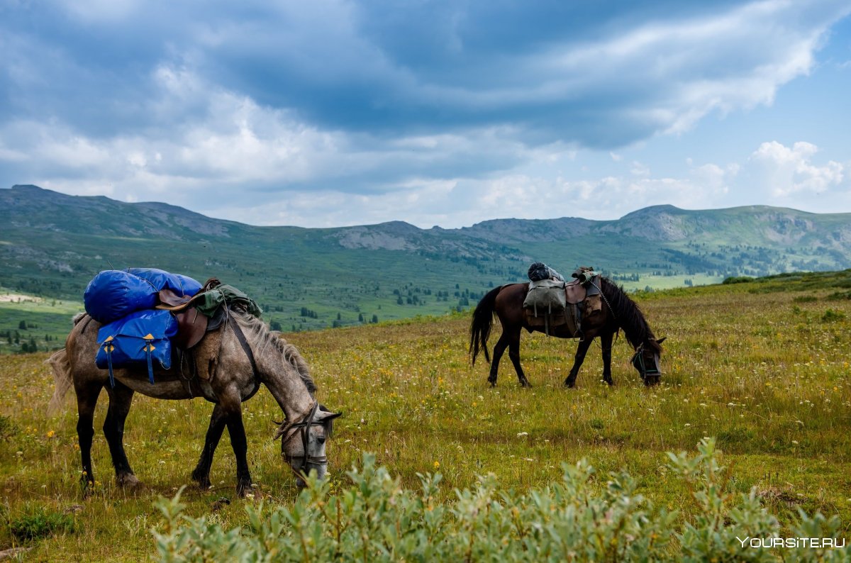 Каракольские озёра горный Алтай тур конный