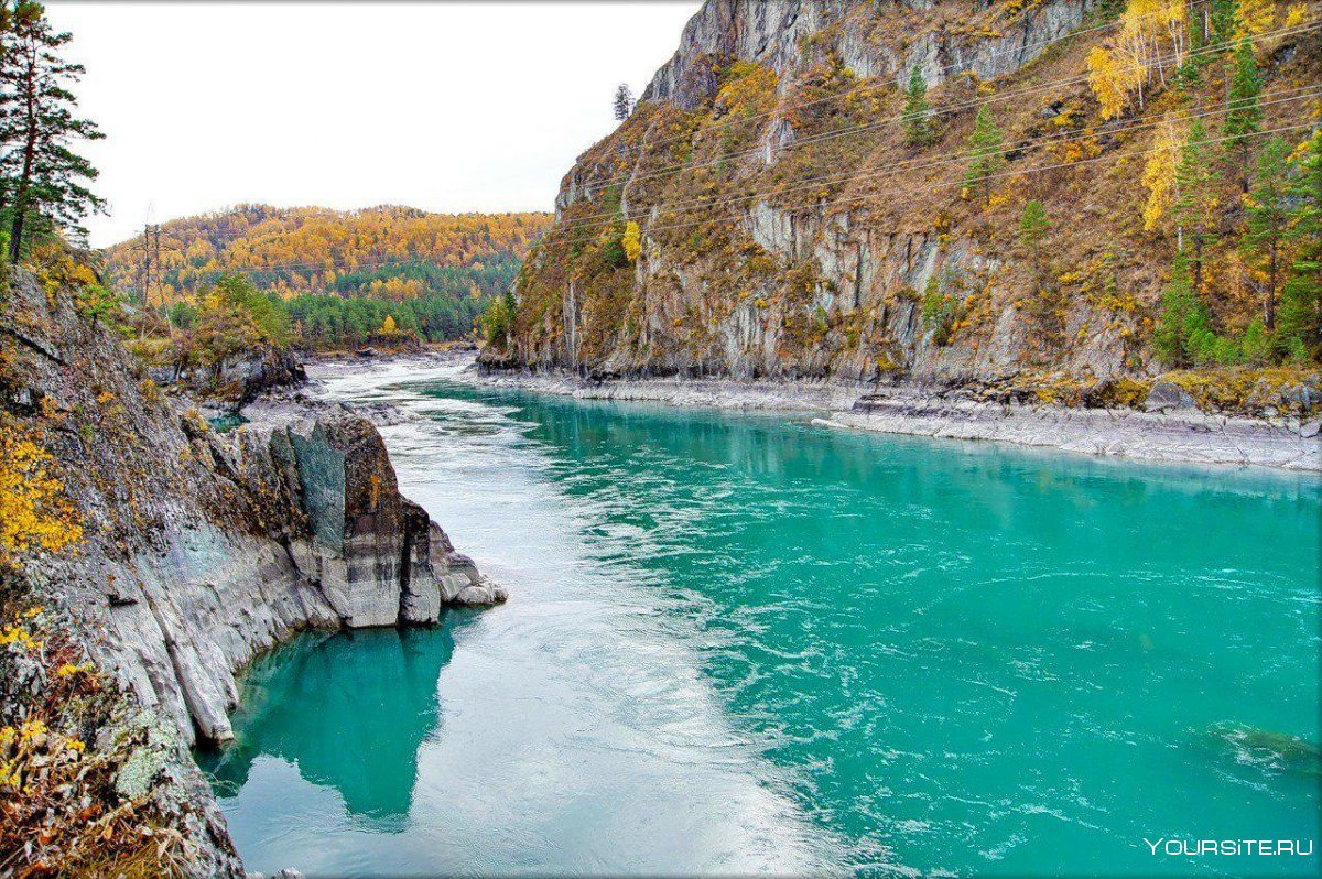 Катунь река Алтай