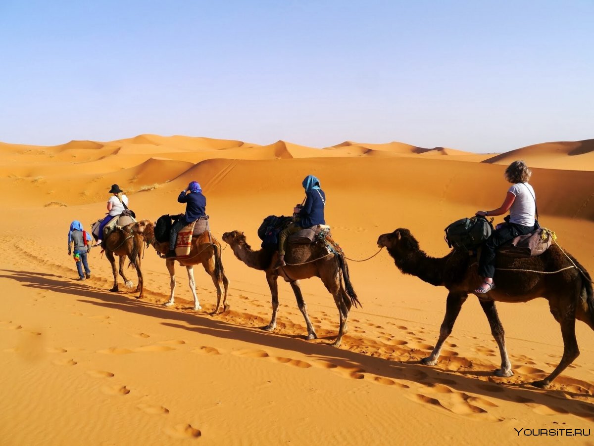 Путешествие на верблюдах