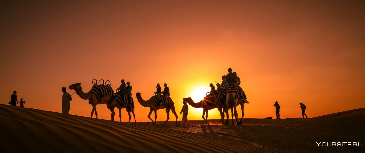 Сафари в пустыне Абу Даби
