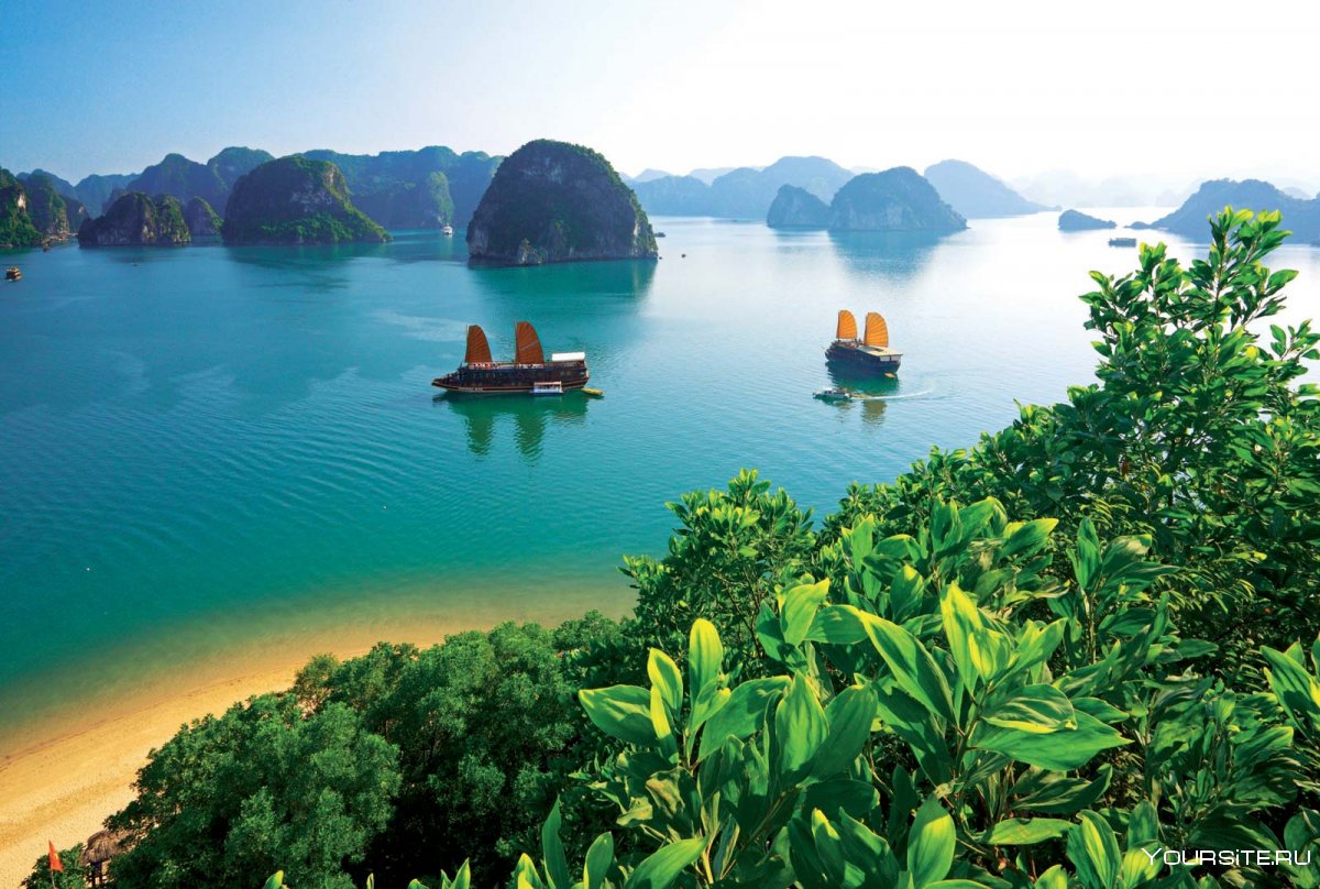 Фото доброе утро красивое во Вьетнаме