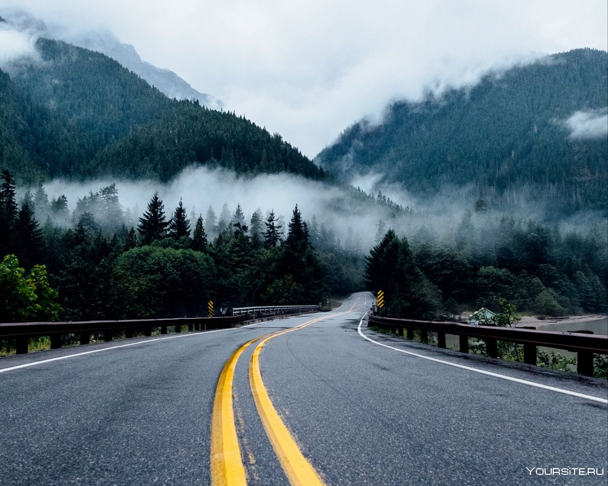 Дорога в горы туман
