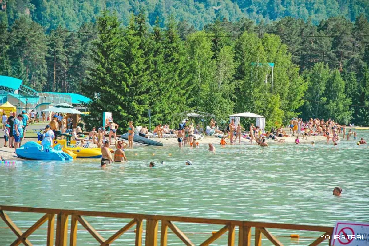 Березовая Катунь Алтай