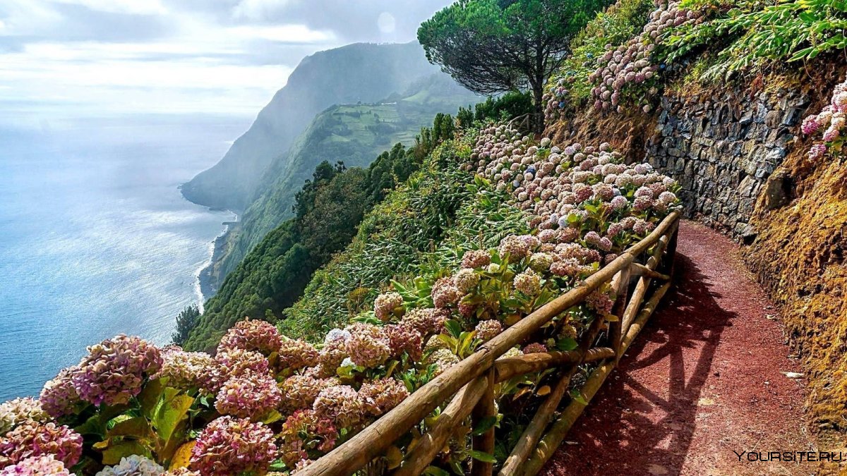 Открыт ли сейчас остров Мадейра для туристов из России