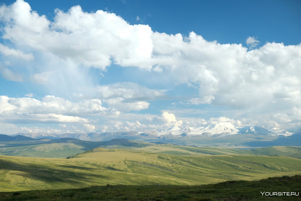 Укок горный Алтай 2020 август
