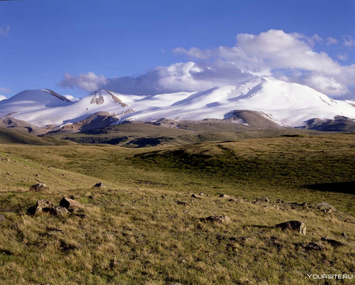 Алтайская Высокогорная тундра