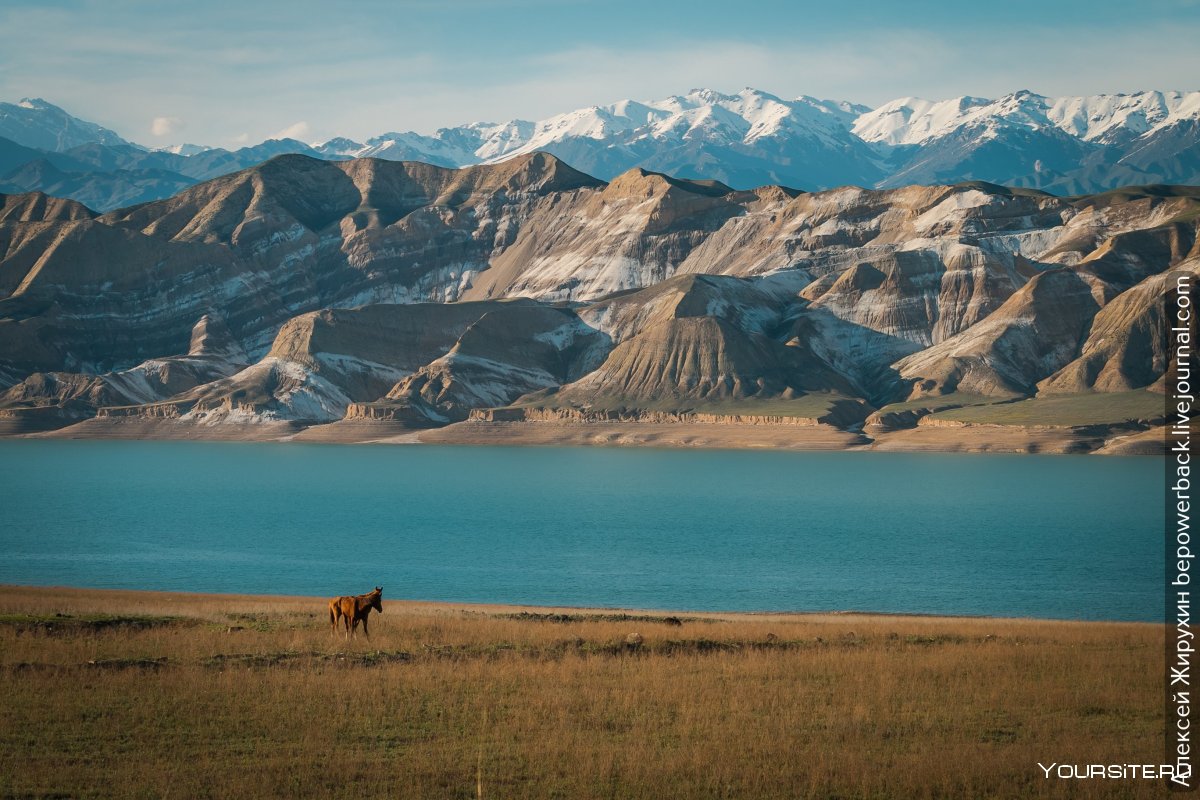 Кыргызстан природа иссыкулль