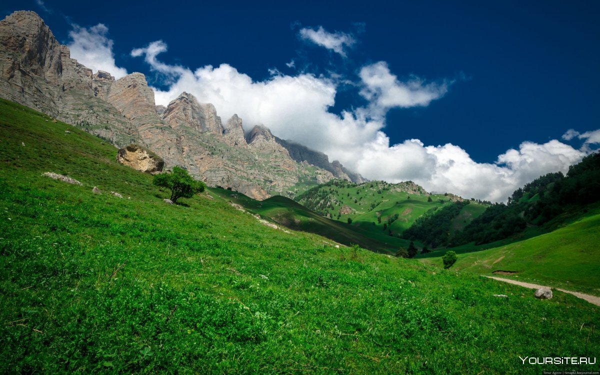 Чечня горы Кавказа