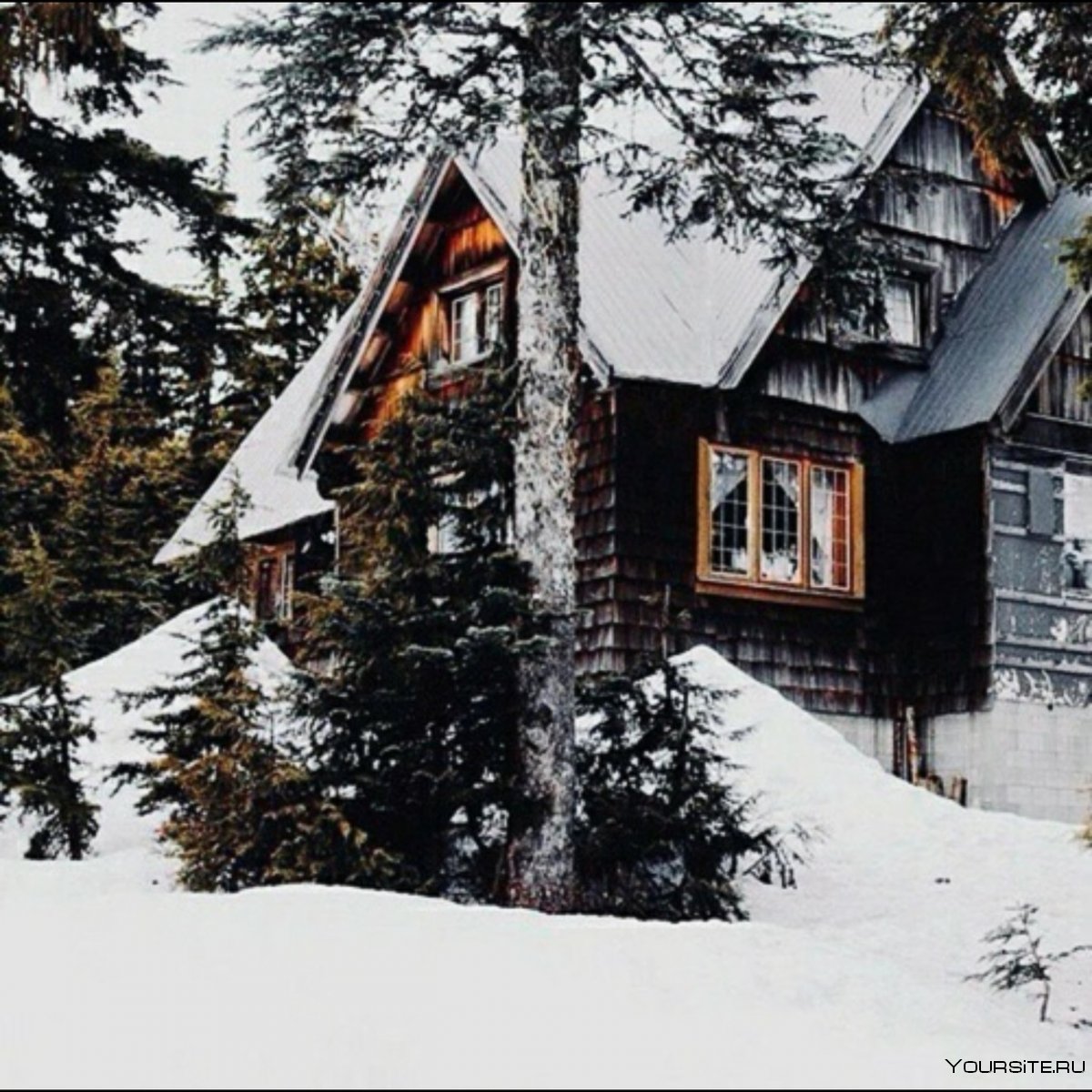 Загородный дом в зимнем лесу