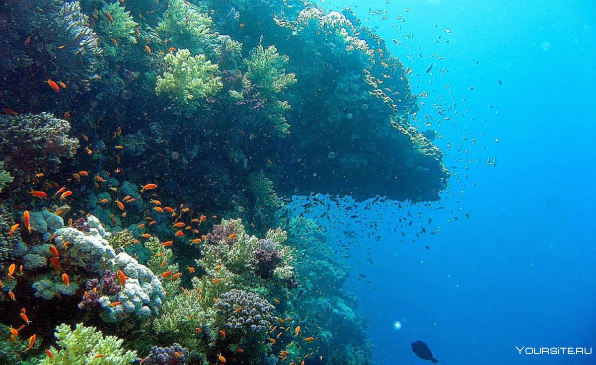 Панорама под водой