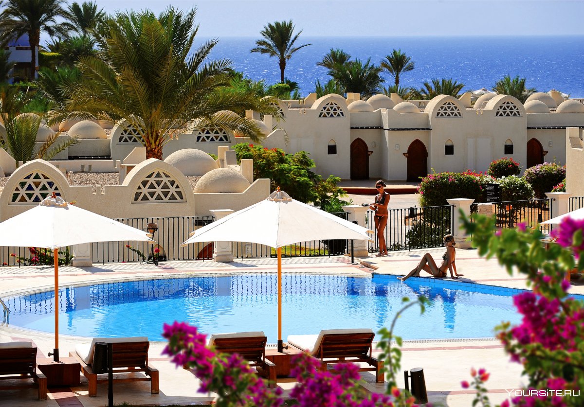Отель Reef Oasis Beach Resort 5