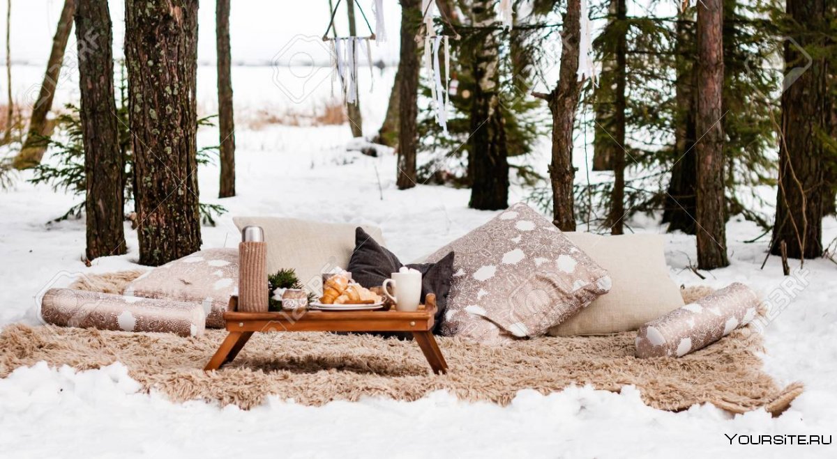 Пикник в зимнем лесу