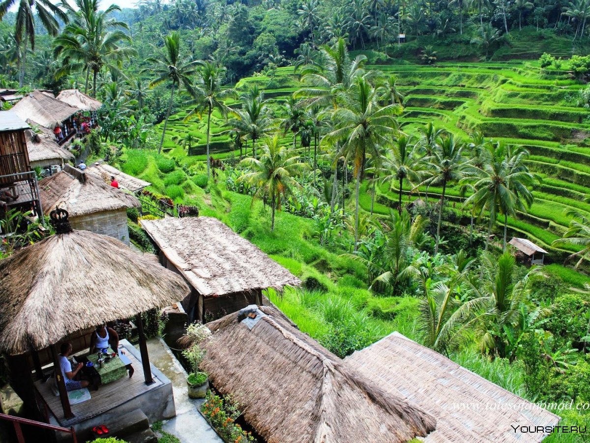 Убуд Бали Индонезия