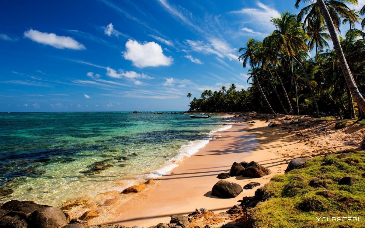 Шри Ланка океан пальмы