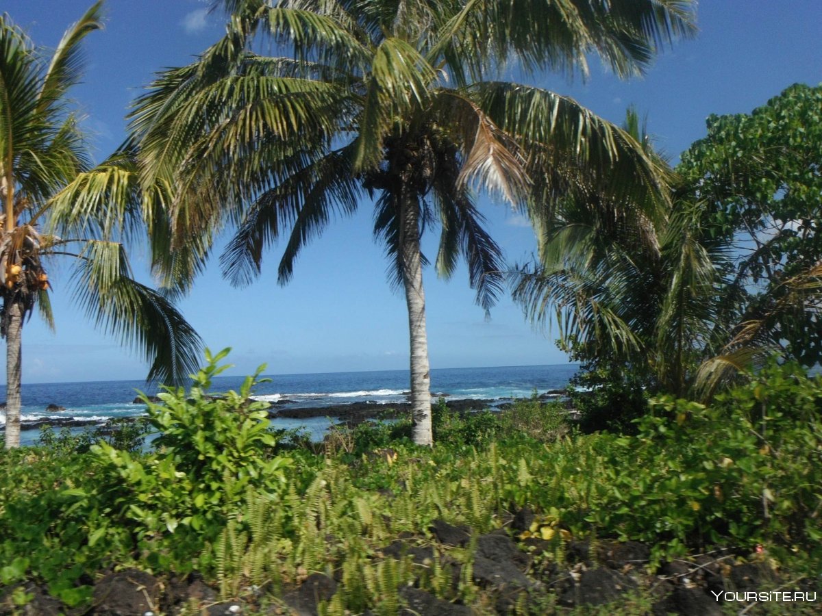 Матавану Самоа