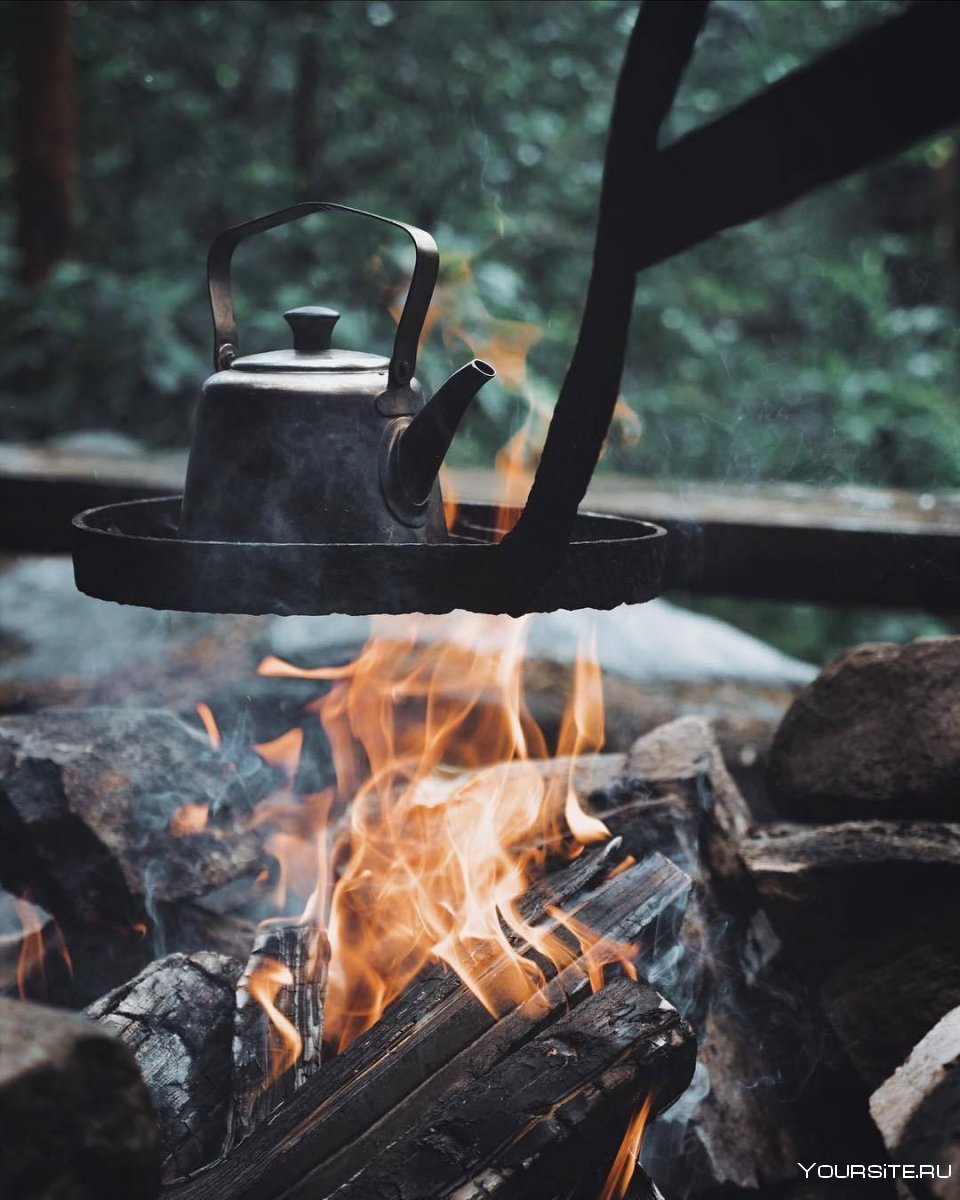 Чай на костре в лесу