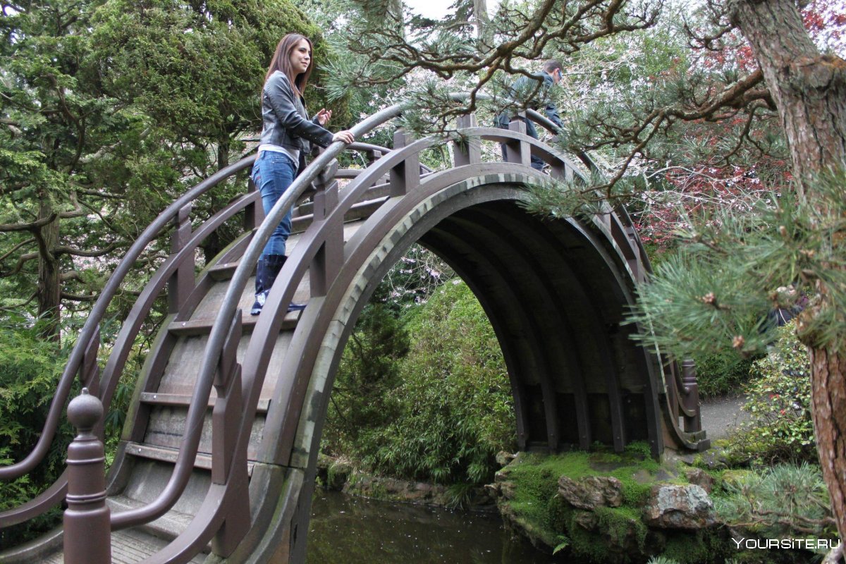 Japanese Gardens, Сан-Франциско, США