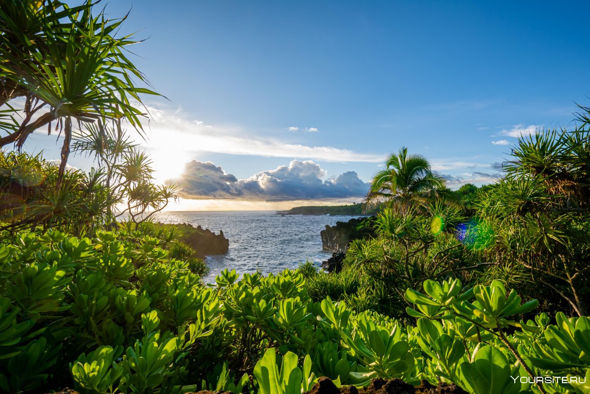 Остров Мауи природный аквариум