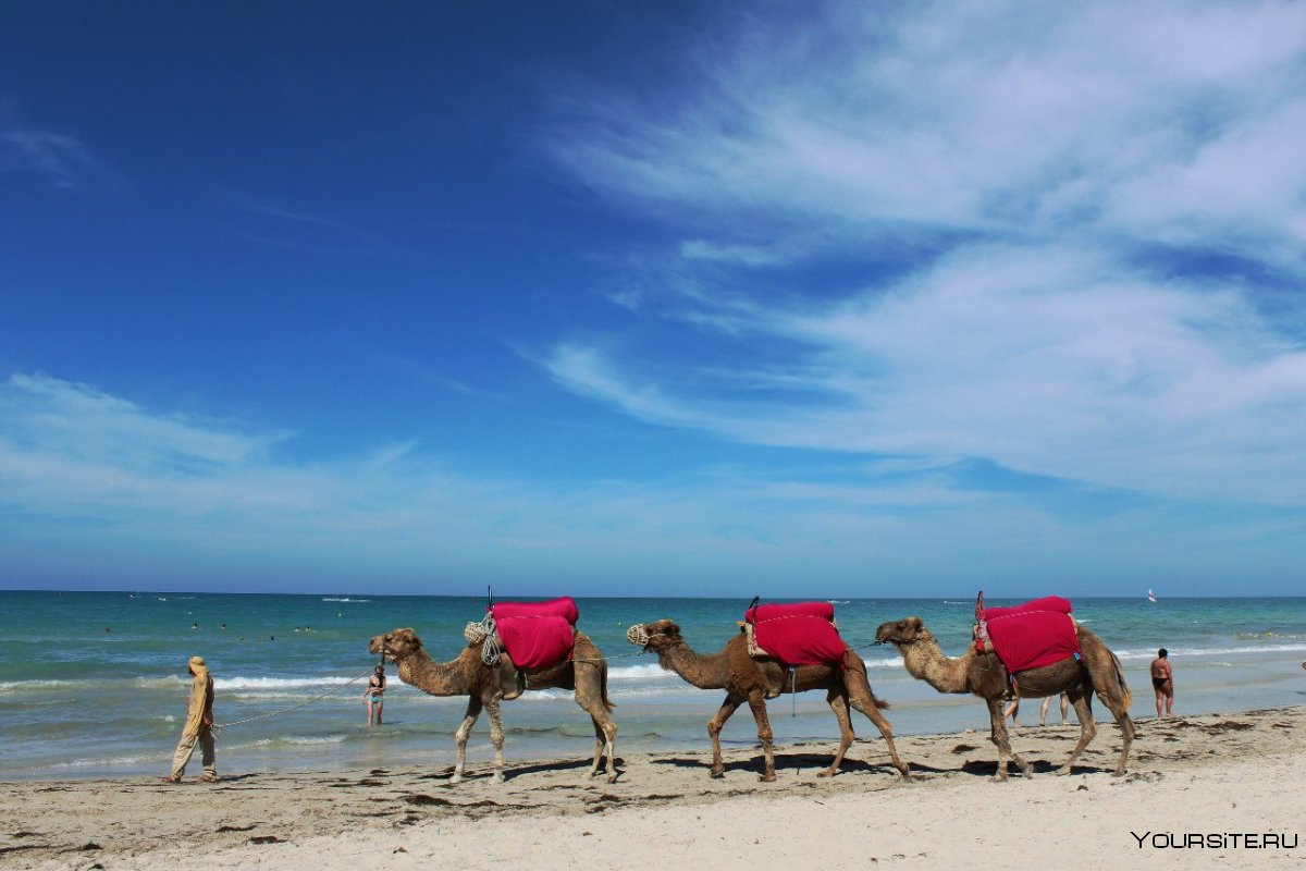 Лето Тунис пляж