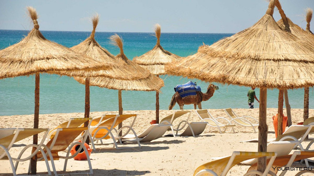 Тунис Хаммамет пляжи