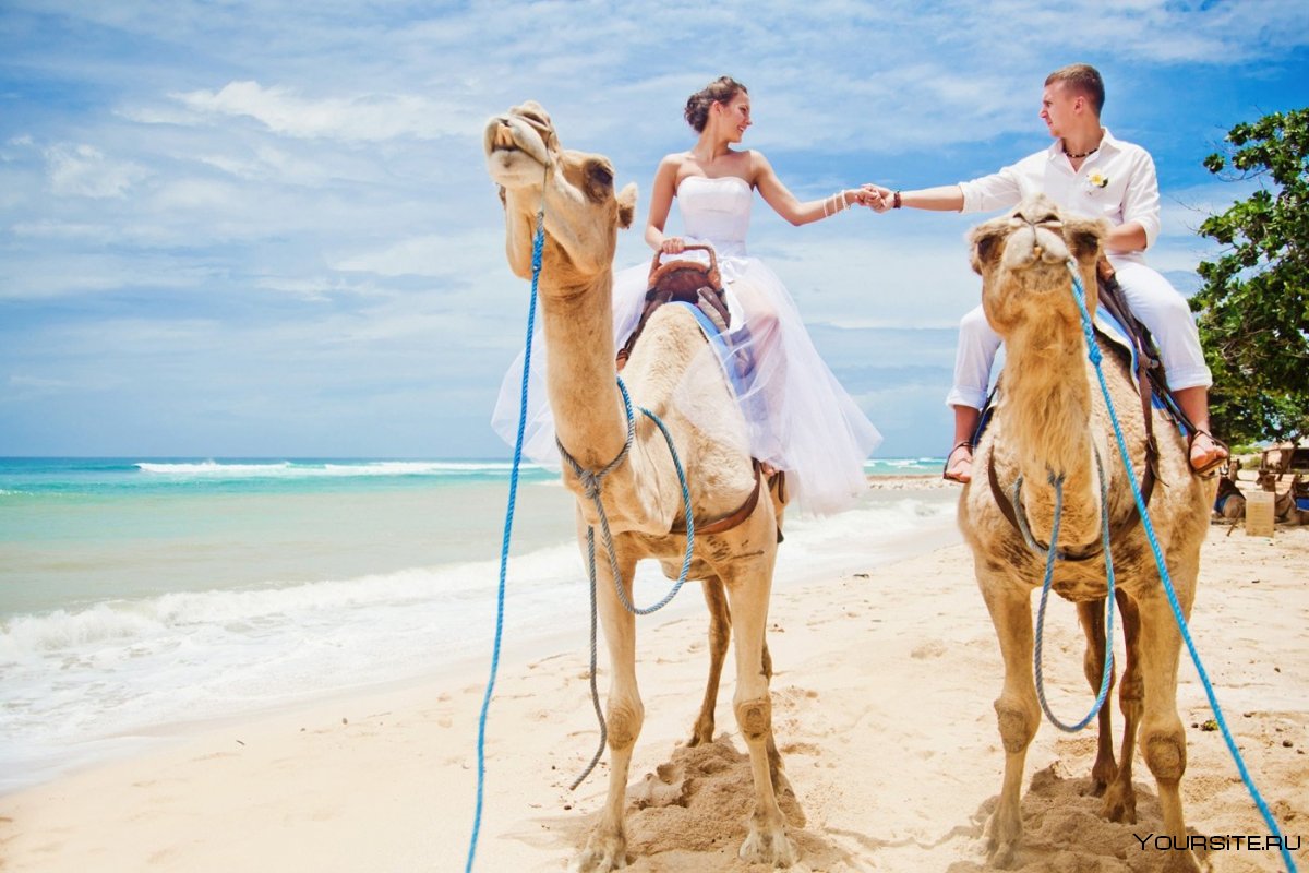 Свадебное путешествие в Египте