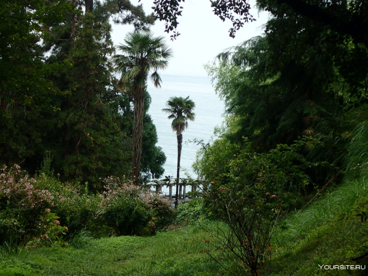 Батумский Ботанический парк