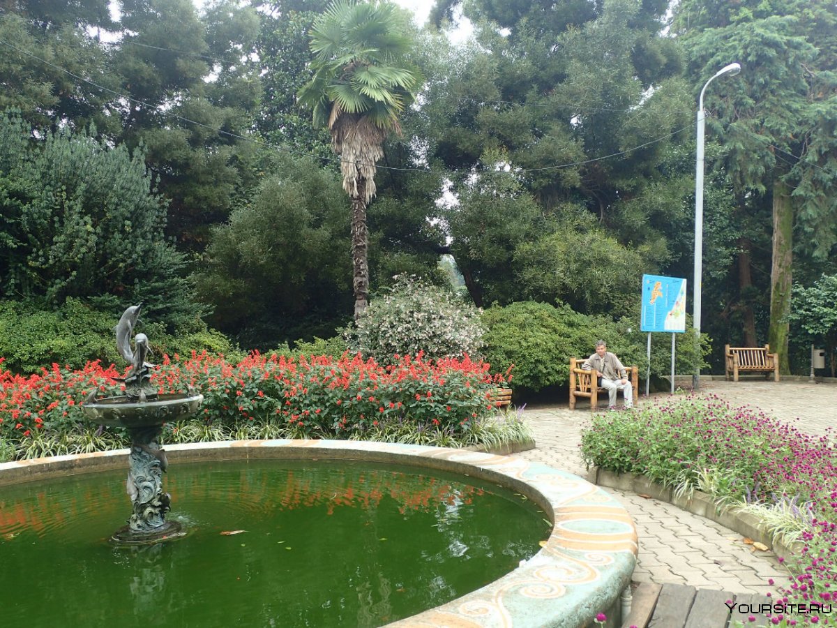 Ботанический сад Батуми в дождь