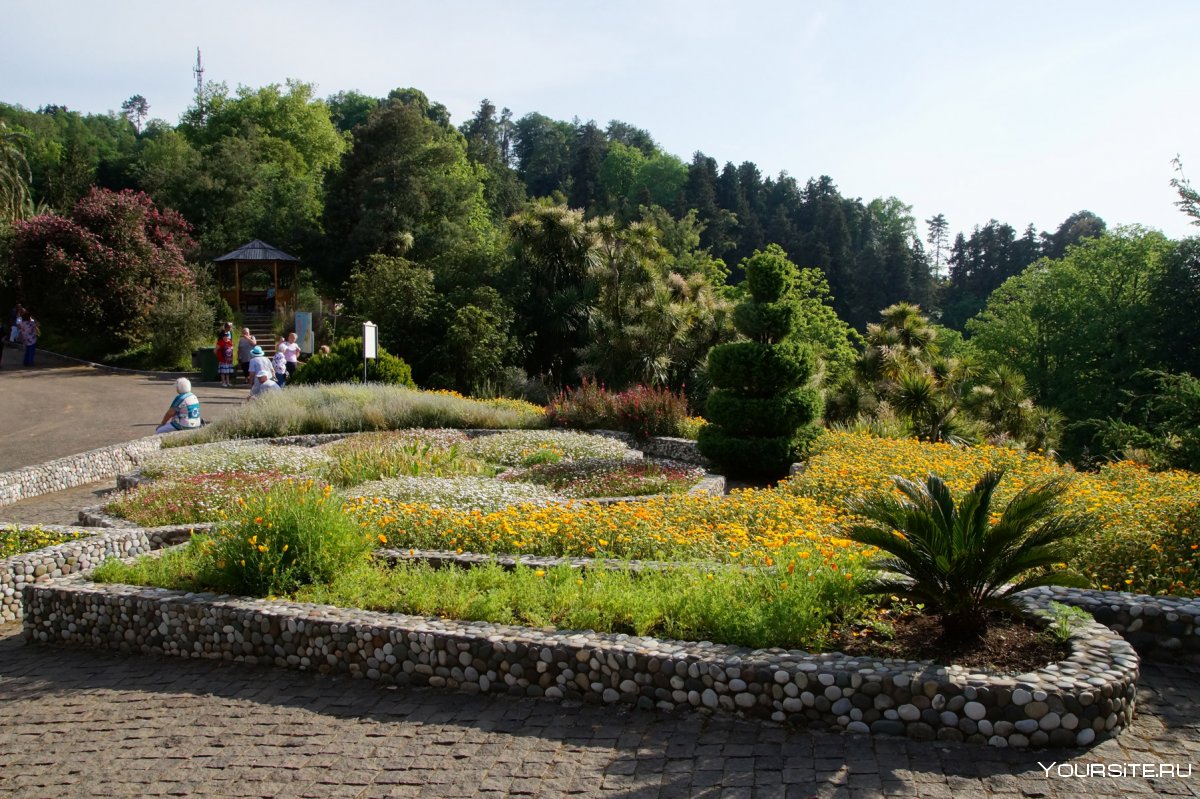Батумский Ботанический сад Магнолия мост