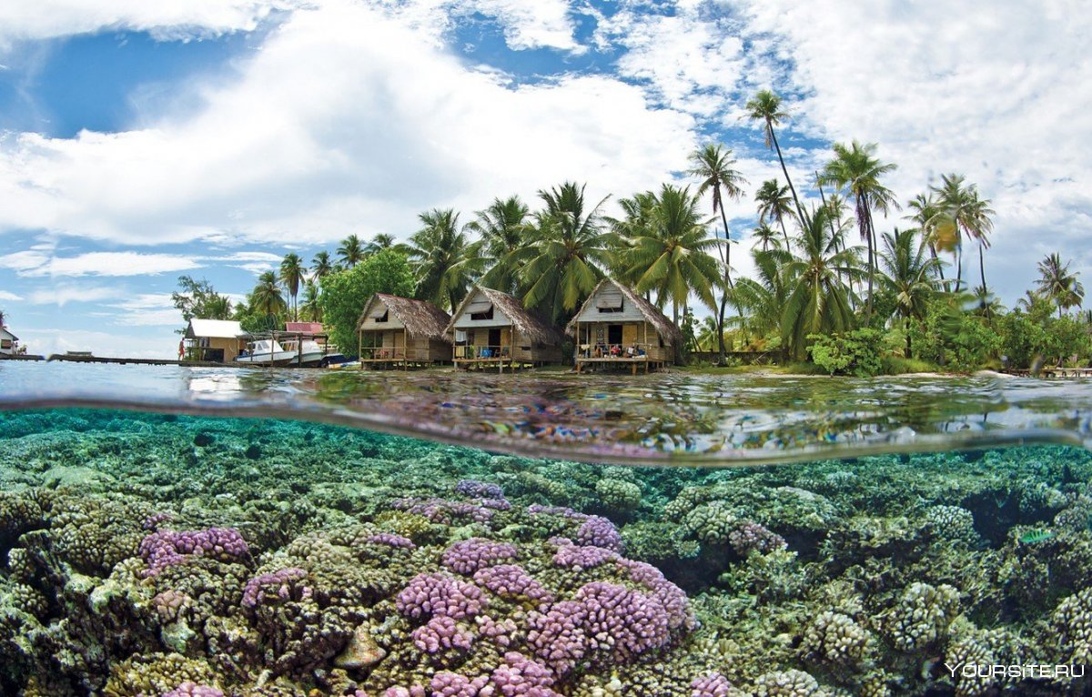 Коралловые острова французской Полинезии