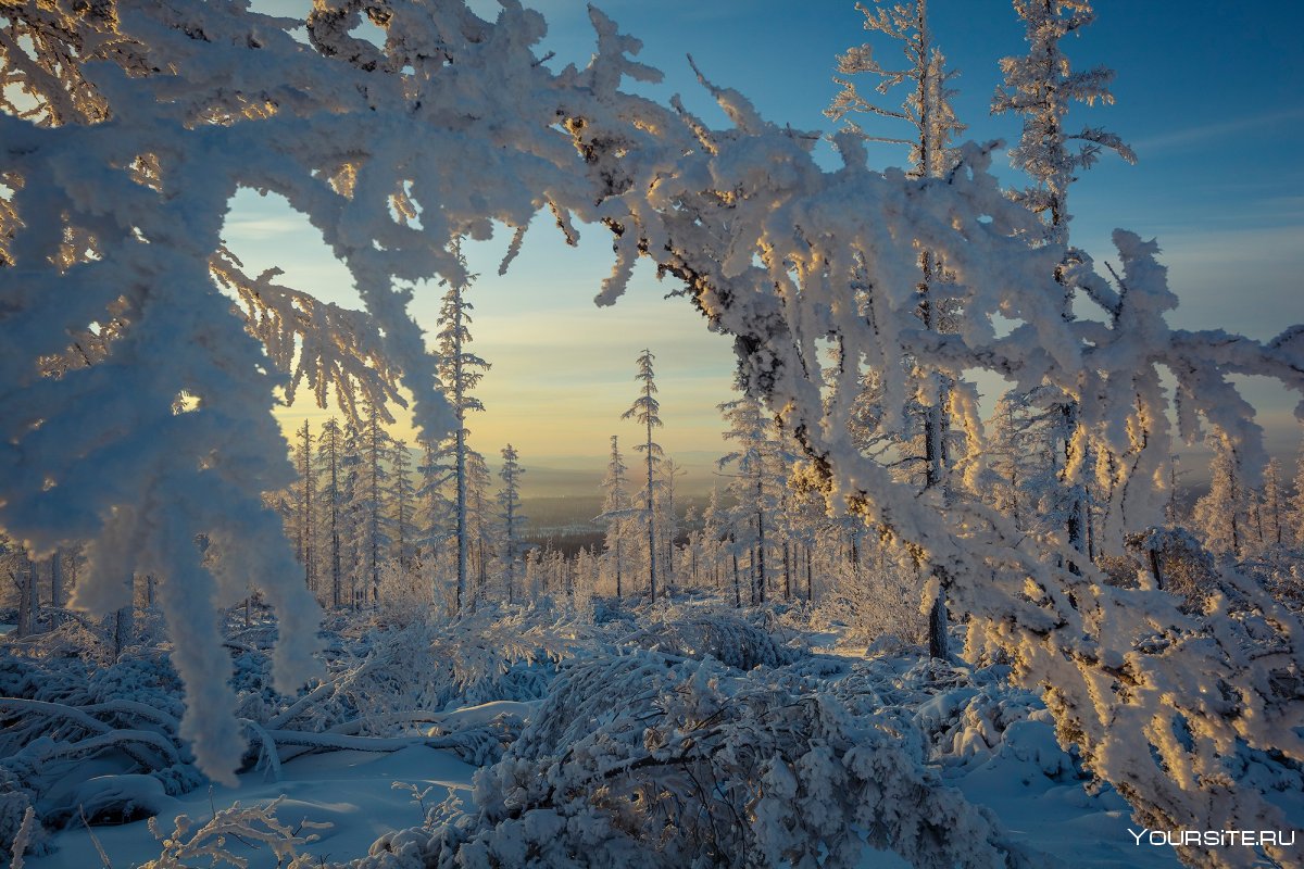 Живописные зимние места Бердск