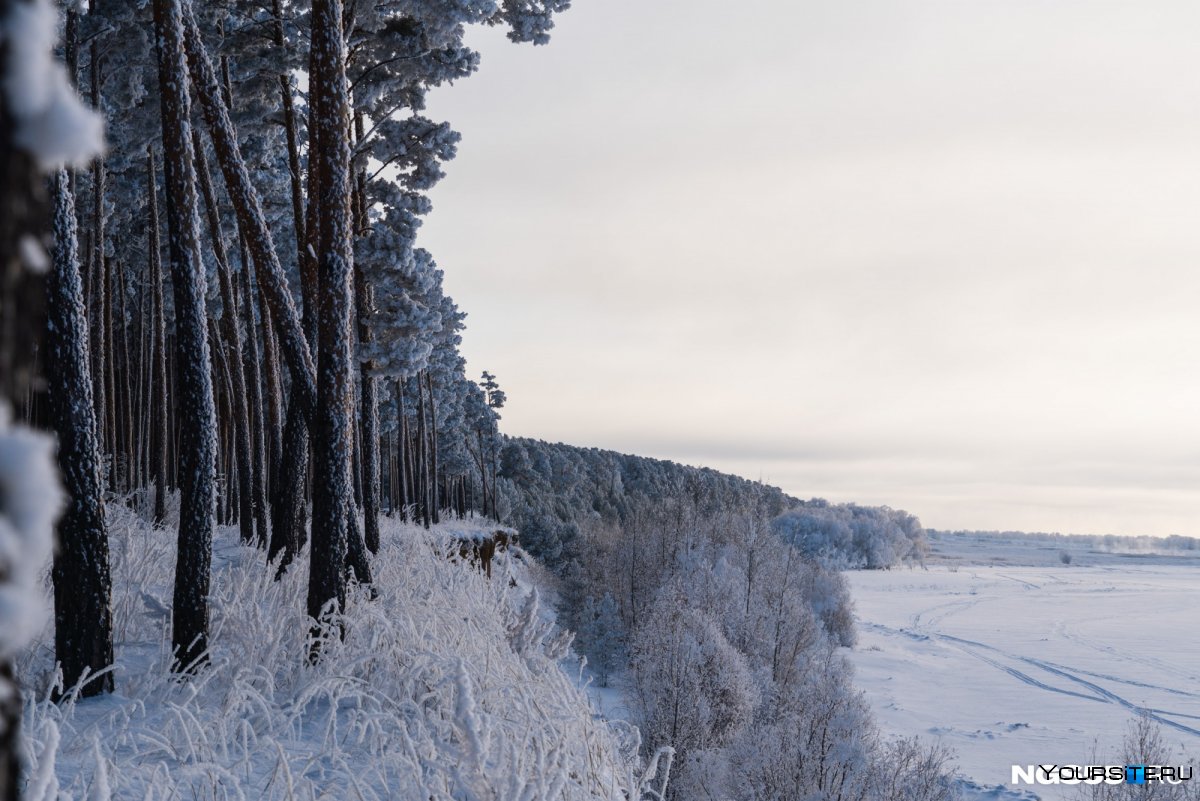 Зимний лес аномальный